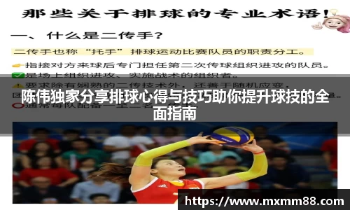 陈伟独家分享排球心得与技巧助你提升球技的全面指南