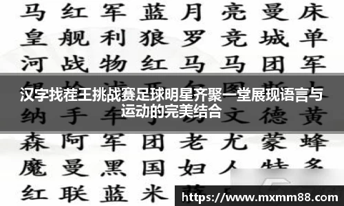 汉字找茬王挑战赛足球明星齐聚一堂展现语言与运动的完美结合