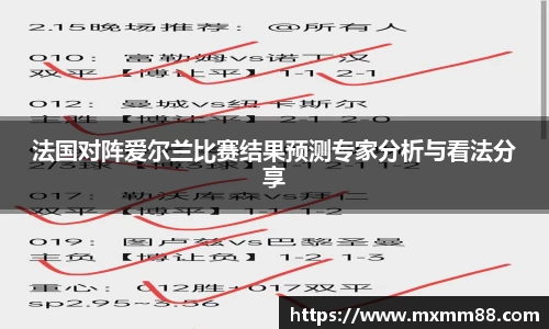 法国对阵爱尔兰比赛结果预测专家分析与看法分享