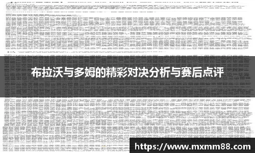 布拉沃与多姆的精彩对决分析与赛后点评